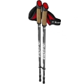 Kije do Nordic Walking Viking Kivet