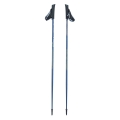 Kije do Nordic Walking Viking Forrester
