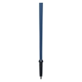 Kije do Nordic Walking Viking Forrester