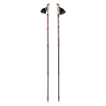 Kije do Nordic Walking Viking Kube PRO