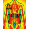 Had Sport Pas termoregulacyjny na biodra