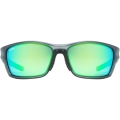 Okulary rowerowe Uvex Sportstyle 232 P szare