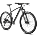 Rower MTB Accent Point SX Eagle szary