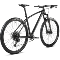 Rower MTB Accent Point SX Eagle szary