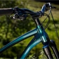 Rower MTB Dartmoor Rocbird Trail Pro turkusowy