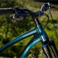 Rower MTB Dartmoor Rocbird Trail Pro turkusowy