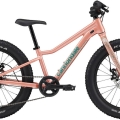 Rower dziecięcy Cannondale Kids Trail Plus 20 łososiowy