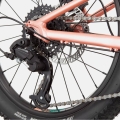 Rower dziecięcy Cannondale Kids Trail Plus 20 łososiowy