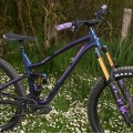 Rower MTB Dartmoor Rocbird Enduro Pro XT Di2 fioletowy