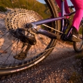 Rower MTB Dartmoor Rocbird Enduro Pro XT Di2 fioletowy