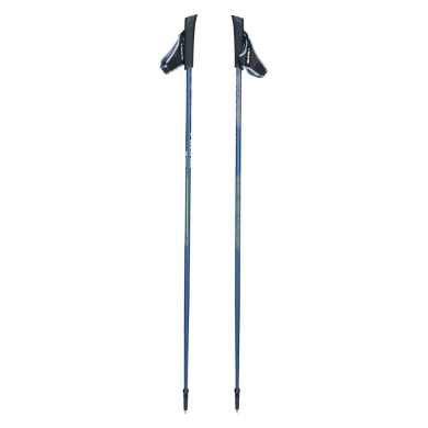 Kije do Nordic Walking Viking Forrester