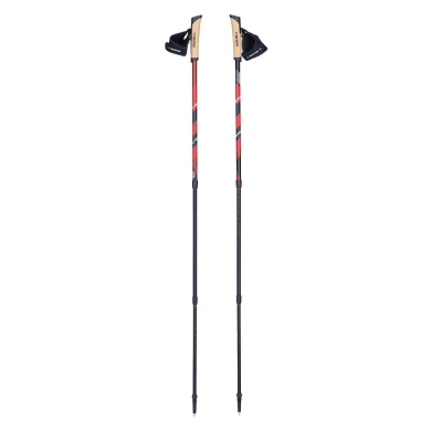 Kije do Nordic Walking Viking Kube PRO