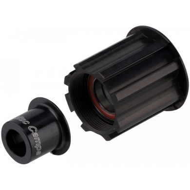 Bębenek piasty DT Swiss Ratchet Campagnolo z adapterem 12mm