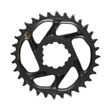 Tarcza mechanizmu korbowego SRAM SL Eagle X-Sync 2 czarno-złota