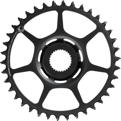 Tarcza mechanizmu korbowego SRAM Eagle Bosch