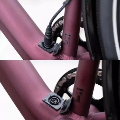 Rower elektryczny Winora E-Flitzer Darkcherry