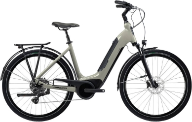 Rower elektryczny Winora Tria 10 Monotube 2024 grey