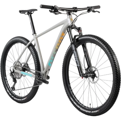 Rower MTB Accent Peak Boost XT szary