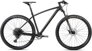 Rower MTB Accent Point SX Eagle szary