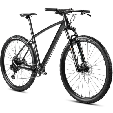 Rower MTB Accent Point SX Eagle szary