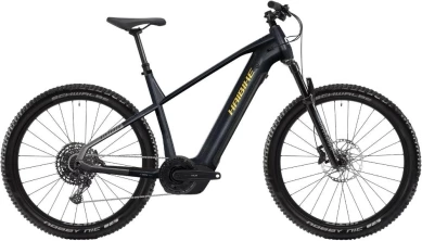 Rower elektryczny Haibike AllTrack 10 29 tytanowy 2025