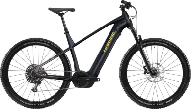 Rower elektryczny Haibike AllTrack 10 29 tytanowy 2025