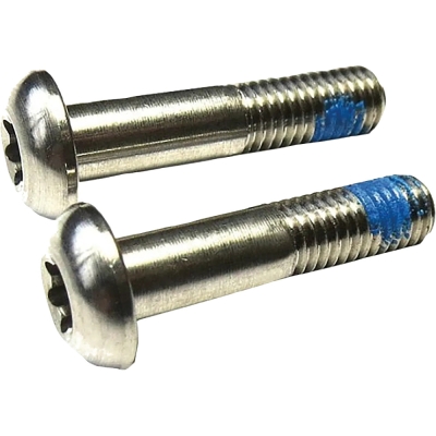SRAM T25 Śruby tytanowe do adapterów hamulców tarczowych 2 sztuki - 22mm