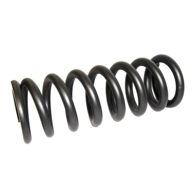 Sprężyna dampera Rock Shox 450LB czarna - 134x47.5-55