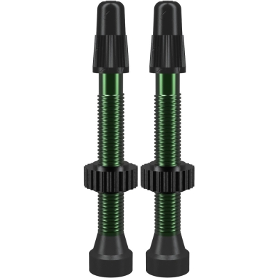 Wentyle WTB TCS Aluminium Tubeless zielone