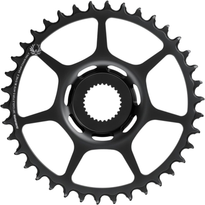Tarcza mechanizmu korbowego SRAM Eagle Bosch Boost