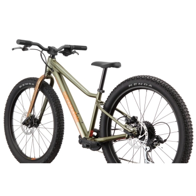 Rower dziecięcy Cannondale Kids Trail Plus 24 zielony