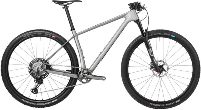 Rower MTB Accent Peak Carbon Boost Evo XTR srebrny