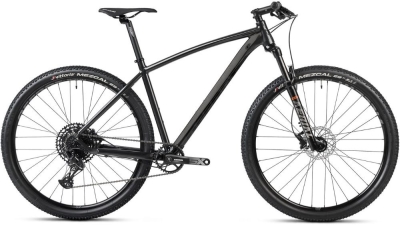 Rower MTB Accent Point SX Eagle szary