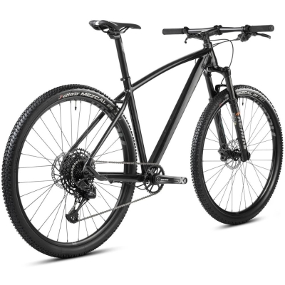 Rower MTB Accent Point SX Eagle szary