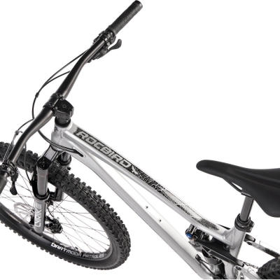 Rower MTB Dartmoor Rocbird Enduro Evo srebrny