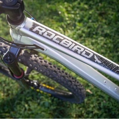 Rower MTB Dartmoor Rocbird Enduro Evo srebrny