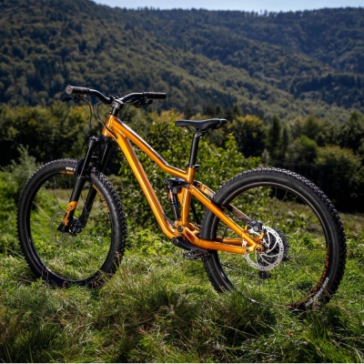 Rower młodzieżowy Dartmoor Rocbird Junior pomarańczowy