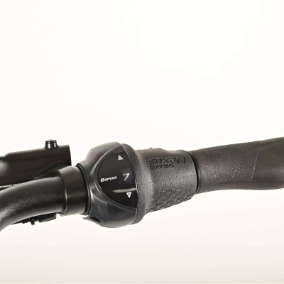 Rower elektryczny Winora Tria N8 E pure blue