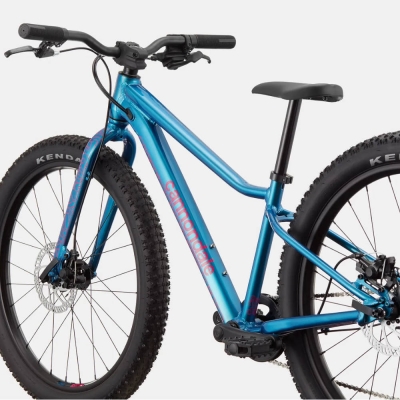 Rower dziecięcy Cannondale Kids Trail Plus 24 niebieski