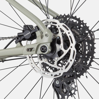 Rower MTB Cannondale Trail 1 beżowy 2025