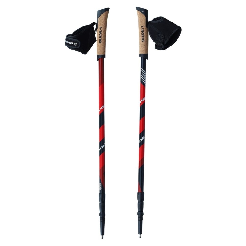 Kije do Nordic Walking Viking Kube PRO