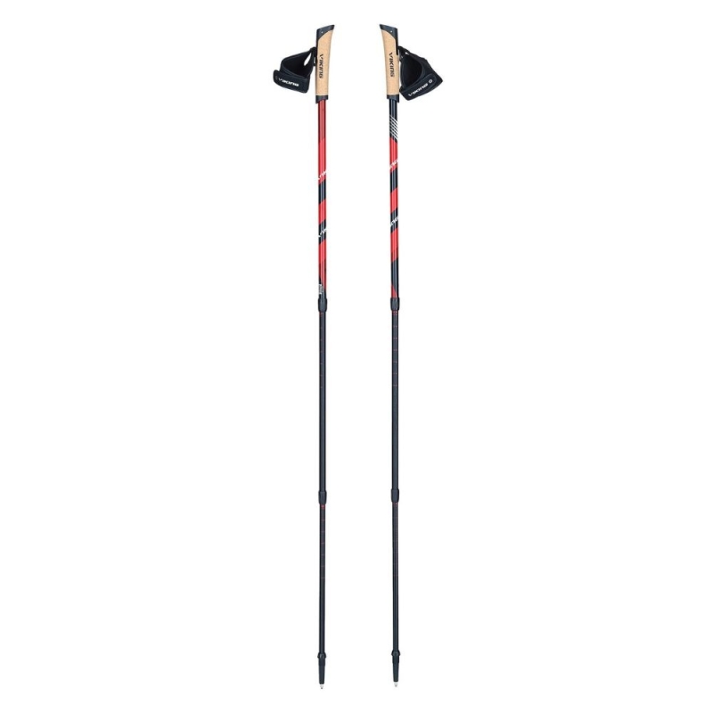 Kije do Nordic Walking Viking Kube PRO