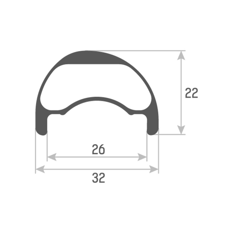 Accent Evo Carbon 29
