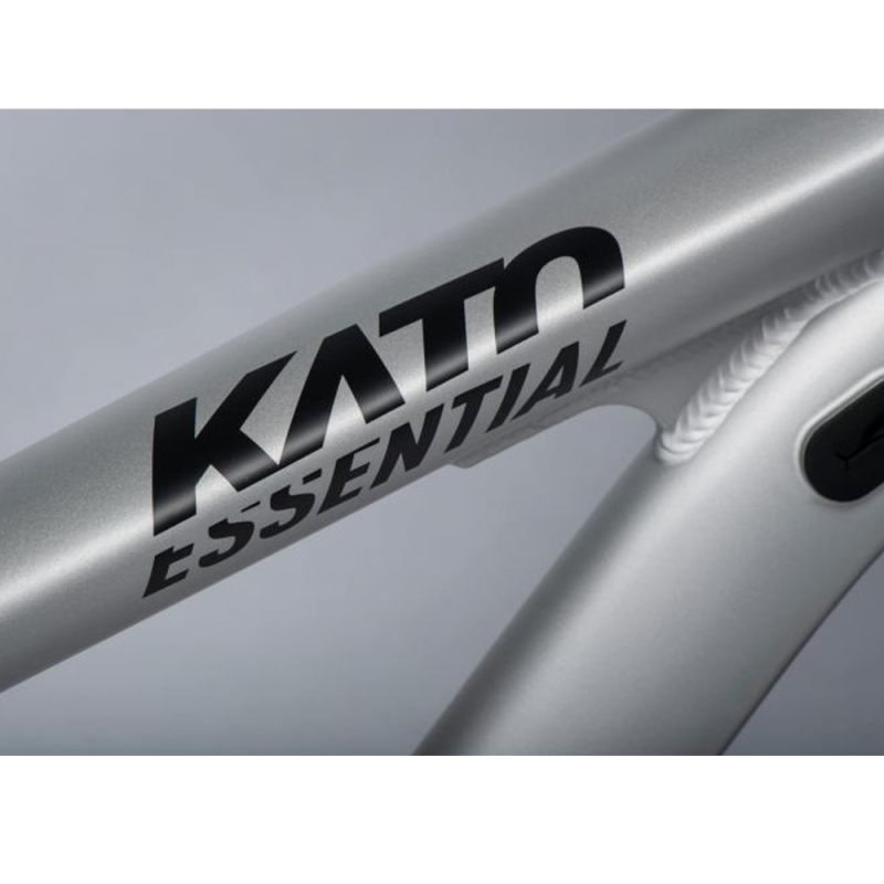 Rower MTB Ghost Kato Essential 29 szaro-czarny