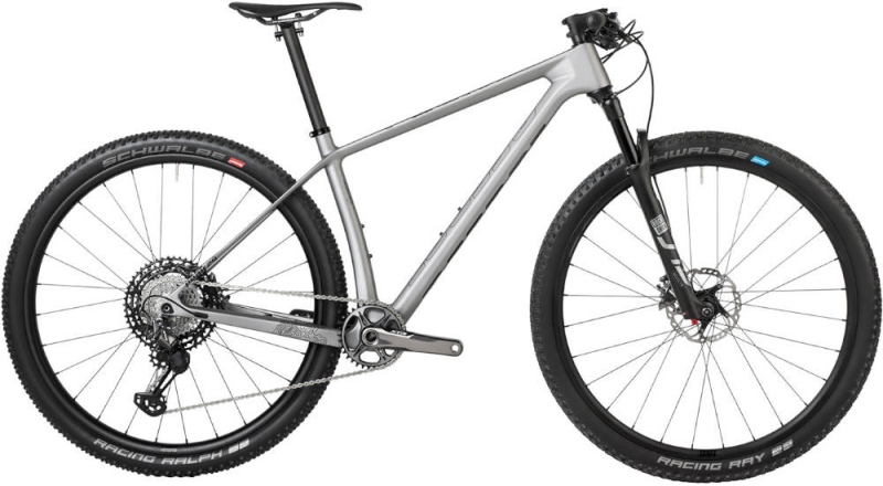 Rower MTB Accent Peak Carbon Boost Evo XTR srebrny