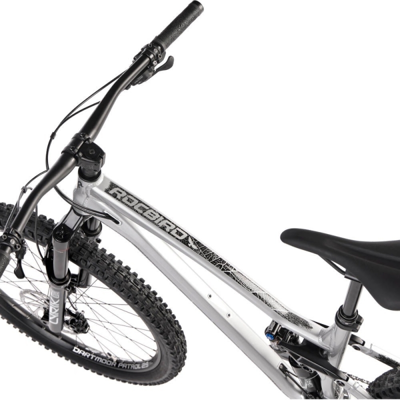 Rower MTB Dartmoor Rocbird Enduro Evo srebrny