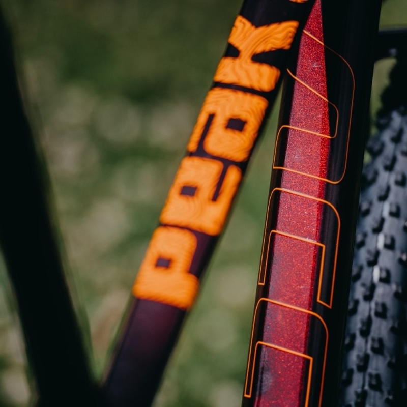 Rama MTB Accent Peak Carbon Boost 29