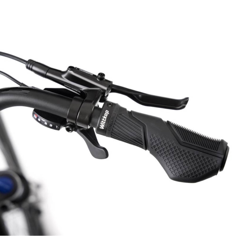 Rower trekkingowy damski Romet Gazela 6 CS srebrny
