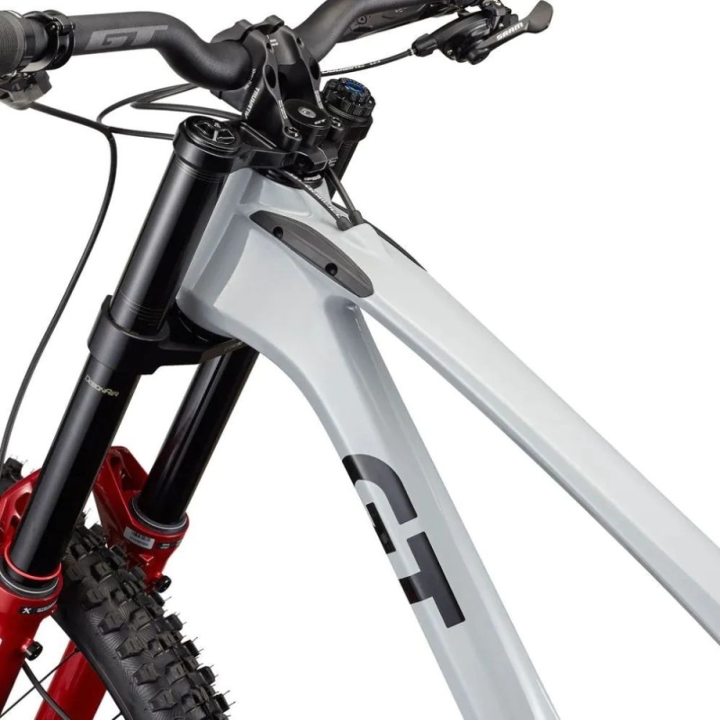 Rower MTB GT Fury Carbon Pro szary