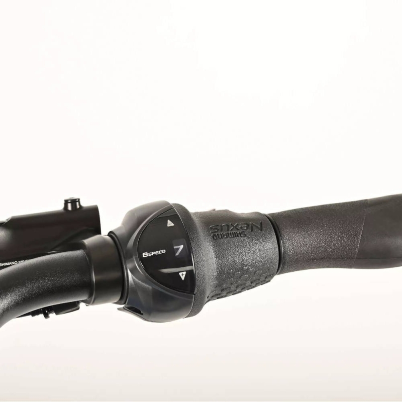 Rower elektryczny Winora Tria N8 E pure blue